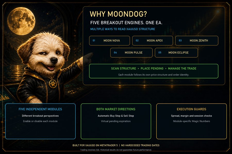cb8973e288a501d22a00cb9ee2a76d87_moondog-ea-screen-2272-preview.jpg